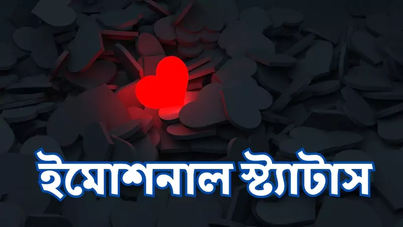 ইমোশনাল স্ট্যাটাস