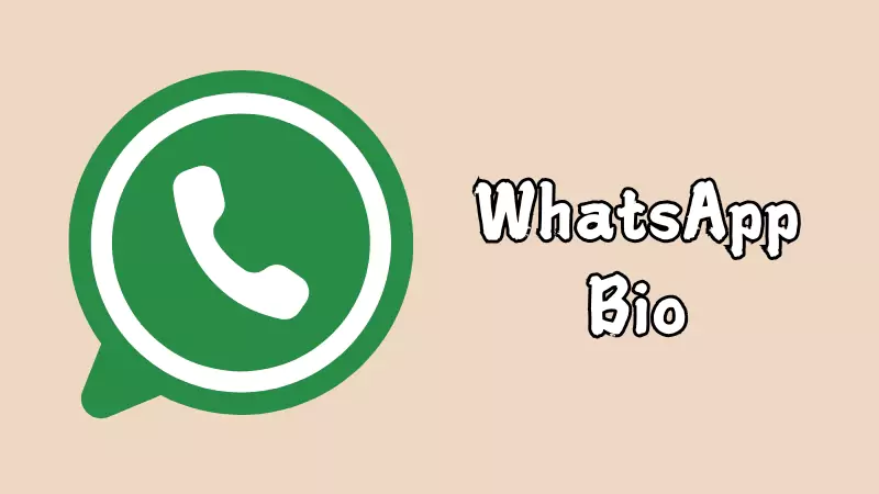 WhatsApp Bio