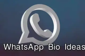 WhatsApp Bio