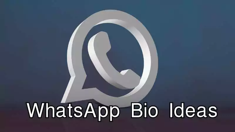 WhatsApp Bio