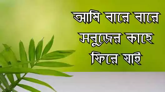 প্রকৃতি নিয়ে ক্যাপশন