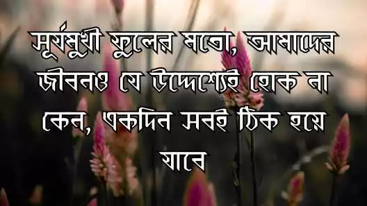 ফুল নিয়ে ক্যাপশন