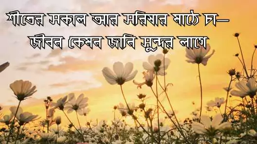 ফুল নিয়ে ক্যাপশন