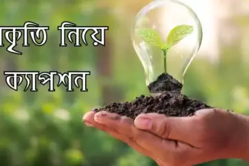 প্রকৃতি নিয়ে ক্যাপশন