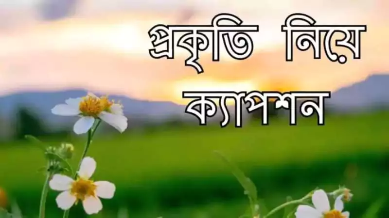 প্রকৃতি নিয়ে ক্যাপশন