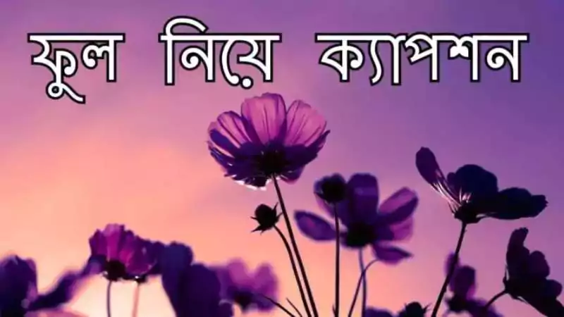 ফুল নিয়ে ক্যাপশন